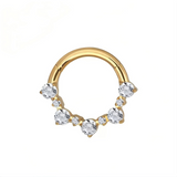 16G ASTM F136 Titanium Big Small Alternate Hinged Segment Ring Septum Clicker Daith Ring