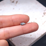 16G ASTM F136 Titanium Angel Wing Labret Stud Earring