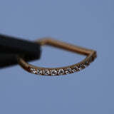 16G ASTM F136 Titanium Hinged Segment Ring Clicker D Ring