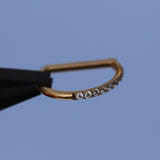 16G ASTM F136 Anello a D Clicker con anello incernierato in titanio